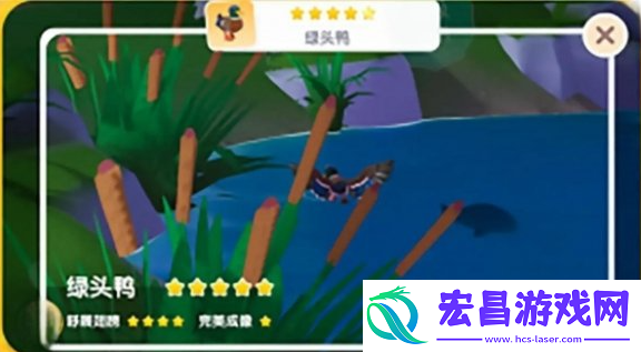 心动小镇鸟类资料卡怎么得
