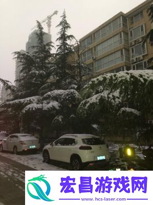 剑网3暖冬戏雪外装瑞雪盈枝外观一览及购买流程【详解】