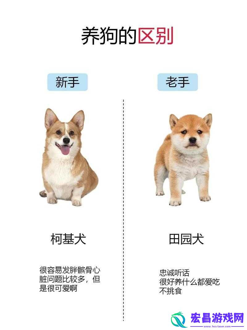 日本