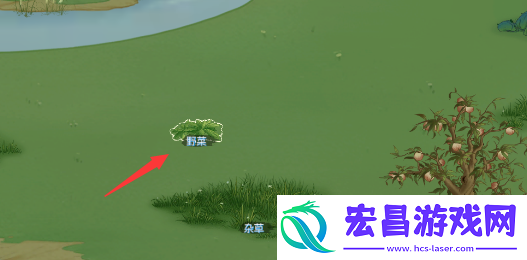 桃源记食物不够怎么办