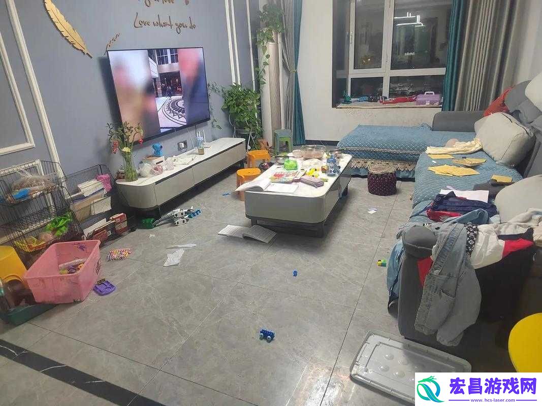 家庭大杂乱