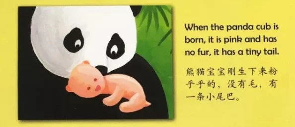 探索成熟了的毛茸茸