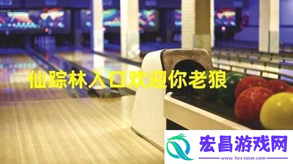 仙踪林站入口欢迎您免费进入老狼