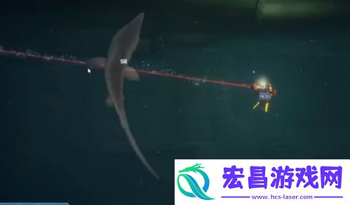 潜水员戴夫探险指南