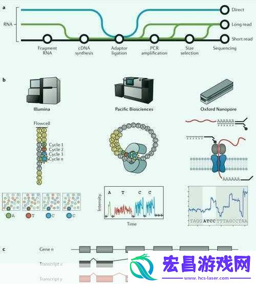 rna与cdna杂交RNA与cDNA杂交技术在基因研究中的应用