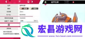 宝可梦剑盾S8双打空间队