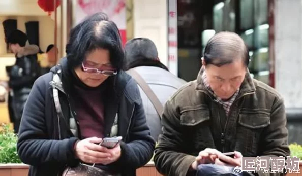 探索网络文化中的奇特现象