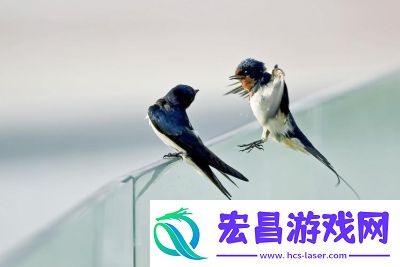 激情与效率的碰撞