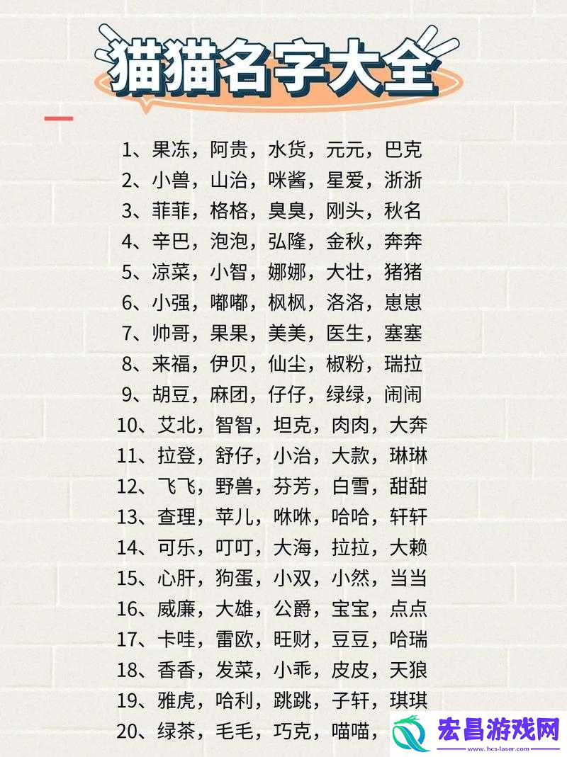新版猫咪地域名推荐大全