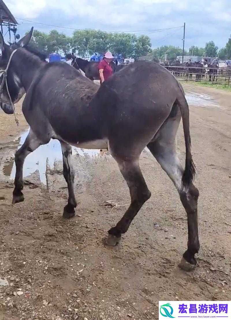 他的腰身缓慢的下沉