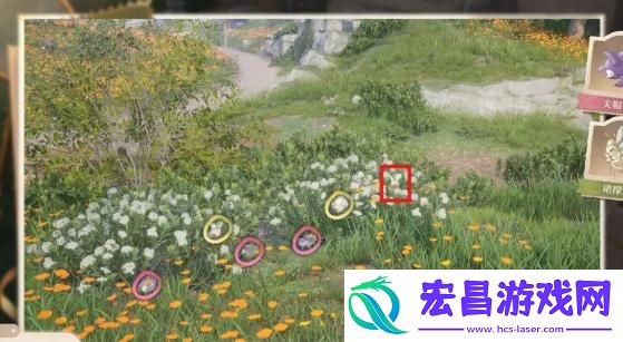 无限暖暖照片调查任务怎么做