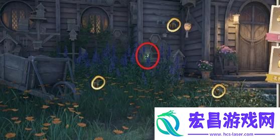 无限暖暖照片调查任务怎么做