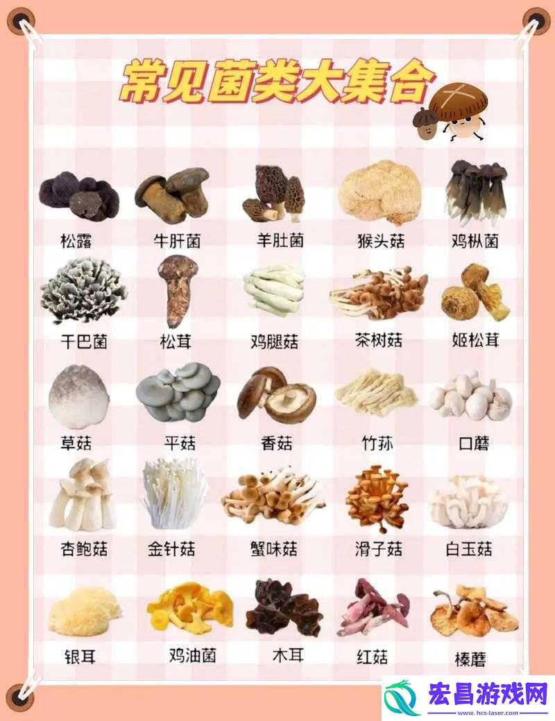 人渣SCUM游戏内菌类资源全面解析与资料大揭秘
