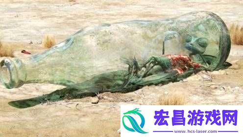 梅里提波王国探险全攻略