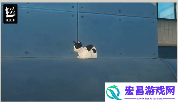 绝区零奶盖猫咪位置攻略