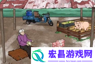 文字来找茬猪圈老人通关攻略