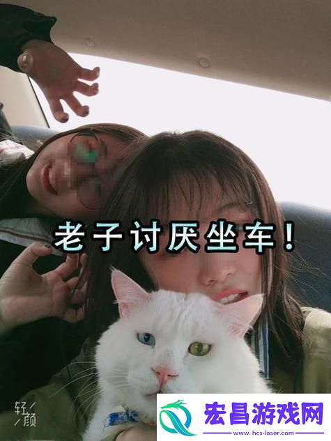 突破极限喵星驰骋