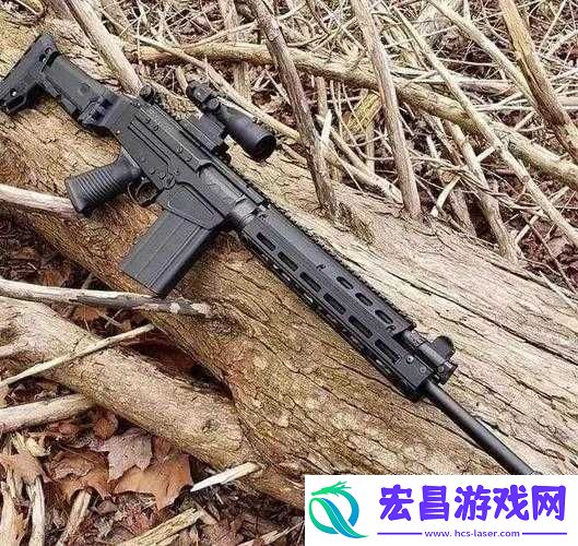全民枪战游戏中冷门步枪全面介绍及其独特优缺点深度剖析