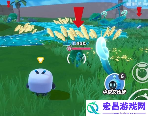蛋仔派对艾比莲蓬蛙怎么抓
