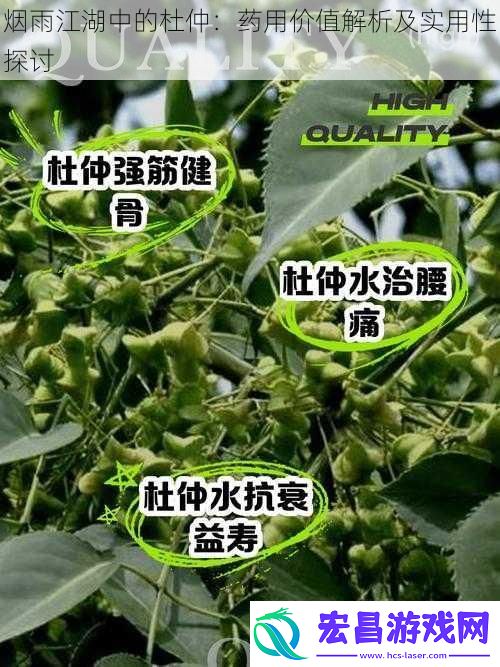 烟雨江湖中的杜仲
