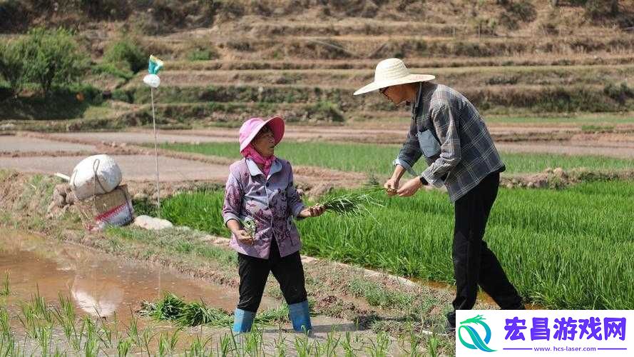 夫妻之间的