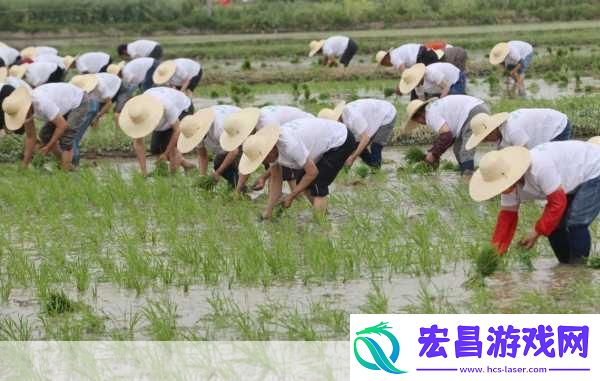 夫妻之间的108种插秧法图片创意插秧法