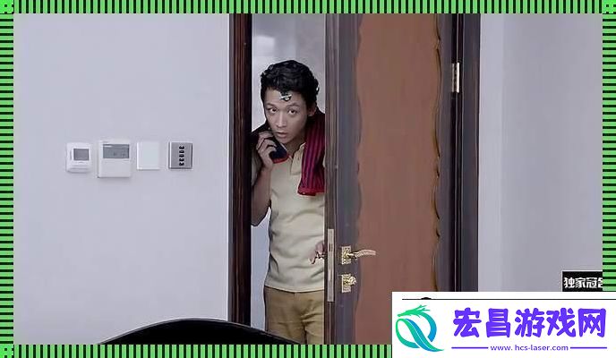 **！科技大佬王总竟夜袭卧室揭秘崛起新星的黑幕