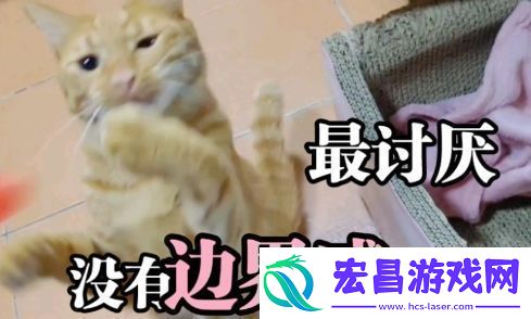 讨厌没有边界感的人是什么梗络用语