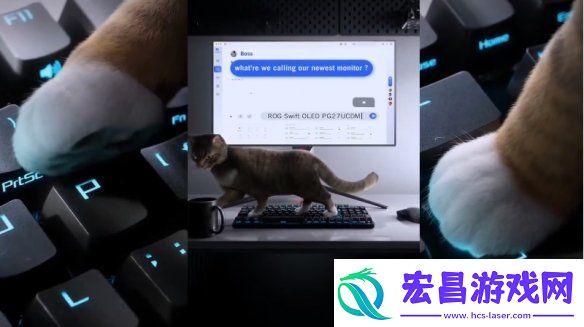 华硕ROG的猫咪乱踩键盘