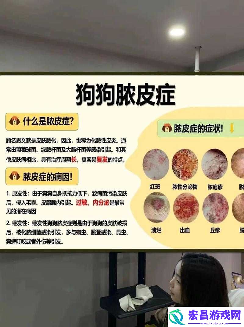 人狗胶配方大全狗狗一