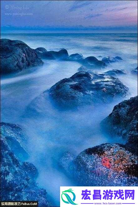 台湾仙踪林