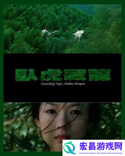 卧虎藏龙深度解析