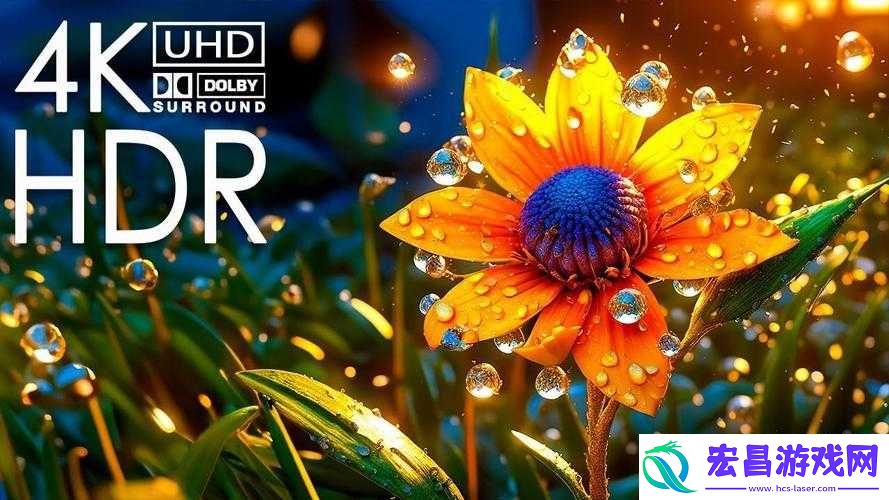 HD
