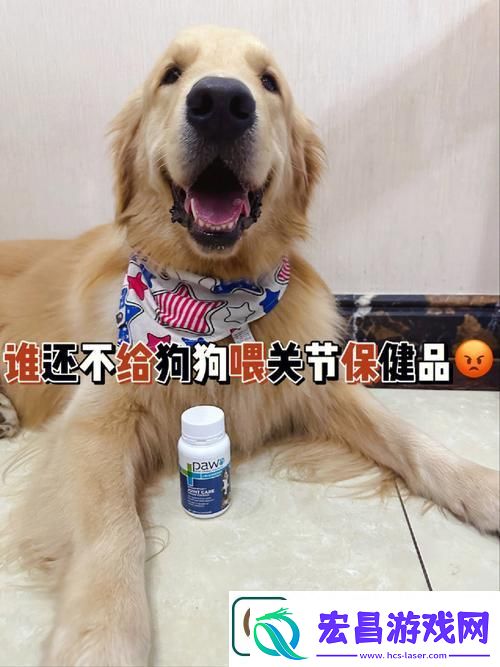 深入探讨“欧美人和禽胶配方大全”的精髓