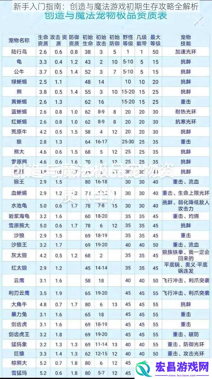 新手入门指南