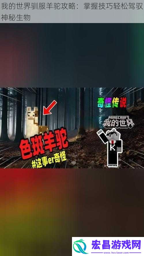 我的世界驯服羊驼攻略