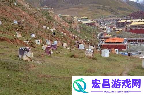 厨房间墙里面噼里啪啦的响声