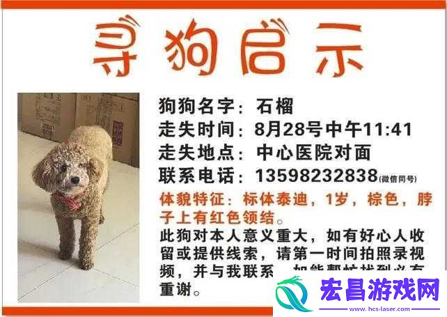 狗和人锁在一起去医院的注意事项