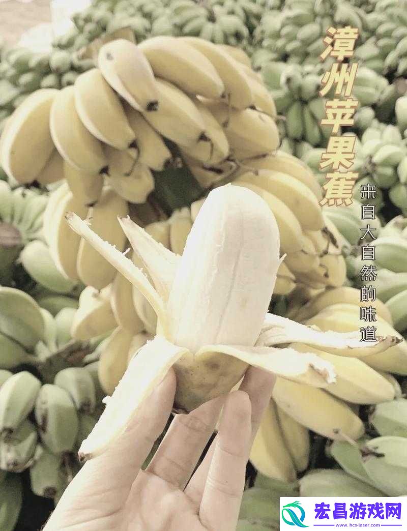 福建大菠萝官方站