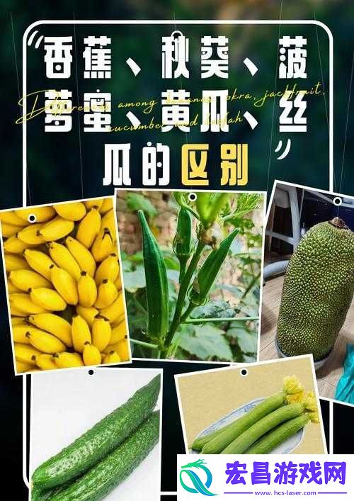 当向日葵草莓秋葵黄瓜荔枝丝瓜遇到爱情