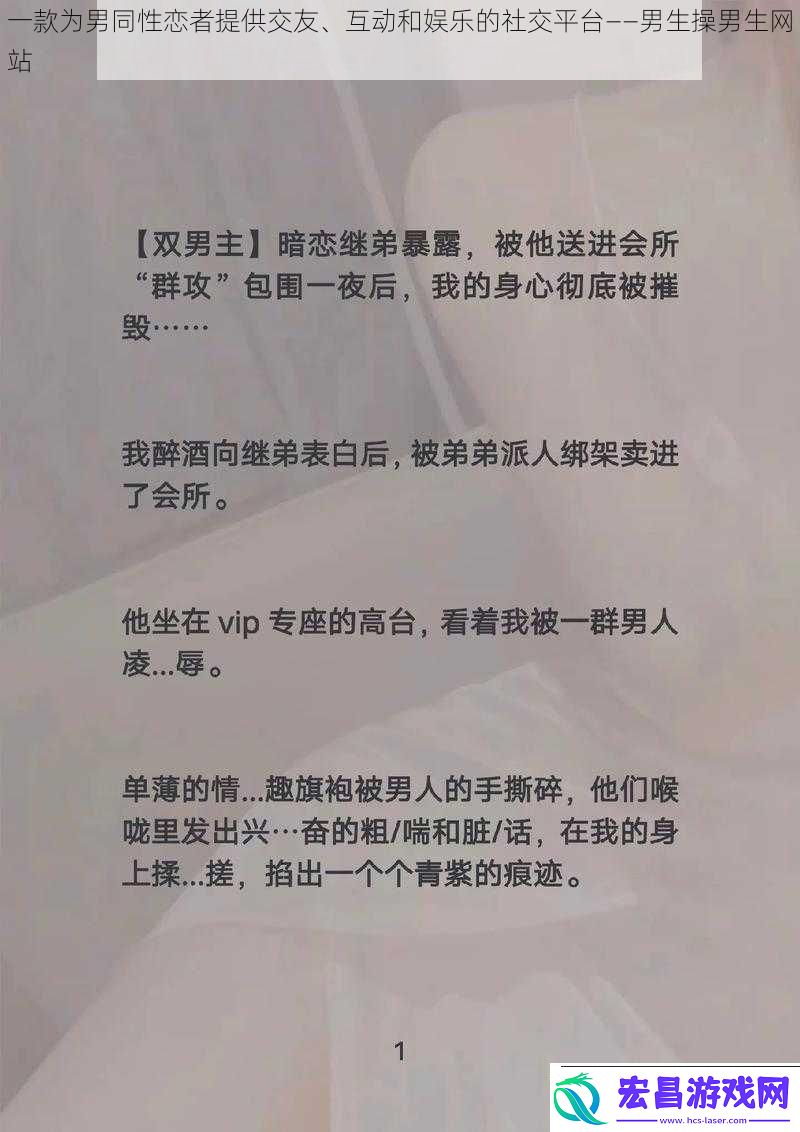 一款为男同性恋者提供交友、互动和娱乐的社交平台——男生操男生网站