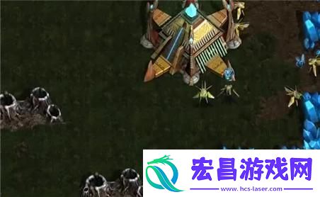 五庄观加点技巧全面解析
