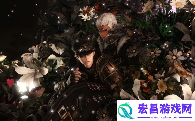 ff14正攻是什么意思