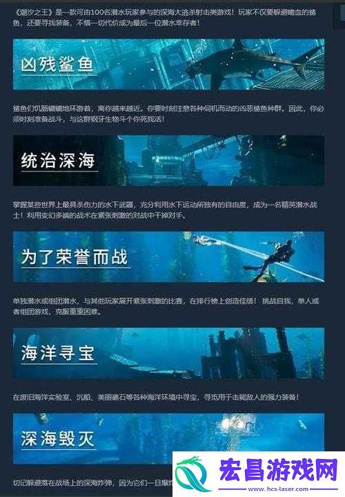 潮汐之王游戏配置需求全面解析