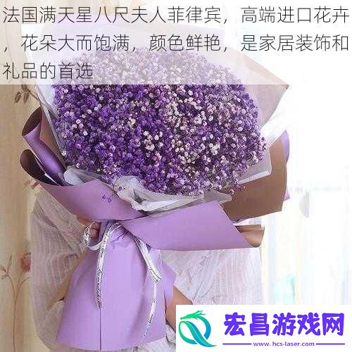 法国满天星八尺夫人菲律宾