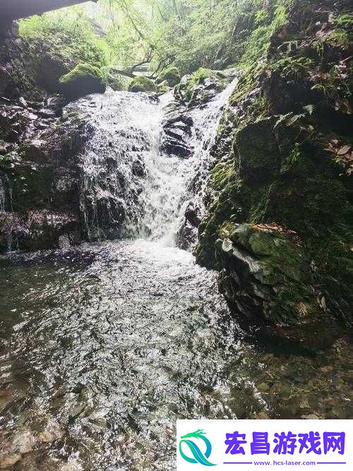 桃花洞口已是溪水潺潺深受广大友好评回应引发的思考与探讨