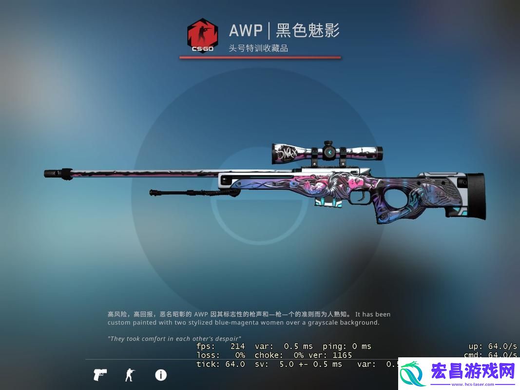 日本csgo大姐姐awp