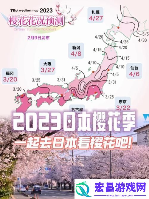 樱花最新最新入门网站2023