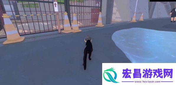 小猫咪大城市浣熊任务怎么做