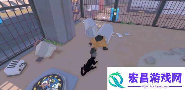 小猫咪大城市浣熊任务怎么做